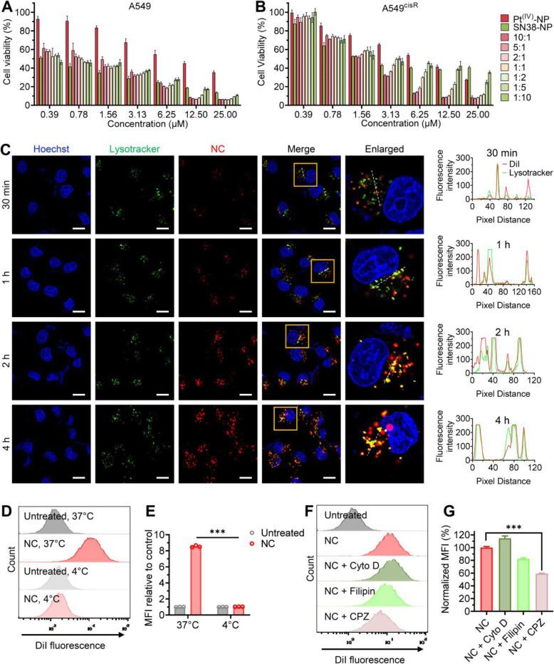 https://cdn.ncbi.nlm.nih.gov/pmc/blobs/03d8/8805243/4dcce10d23d6/40824_2022_249_Fig2_HTML.jpg
