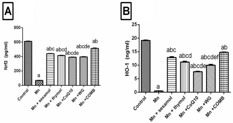 https://cdn.ncbi.nlm.nih.gov/pmc/blobs/03d8/9785377/b0a537b7f215/pharmaceuticals-15-01554-g005.jpg