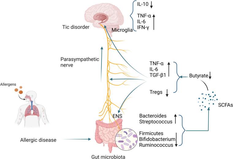 https://cdn.ncbi.nlm.nih.gov/pmc/blobs/03d9/11218626/73a4d3772bb6/fped-12-1360420-g002.jpg