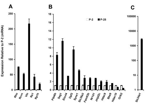 https://cdn.ncbi.nlm.nih.gov/pmc/blobs/03da/2822553/f99203926239/mv-v16-252-f3.jpg