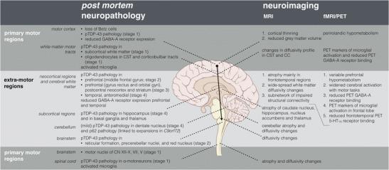 https://cdn.ncbi.nlm.nih.gov/pmc/blobs/03dc/4443002/7684f3a047df/11910_2015_569_Fig1_HTML.jpg