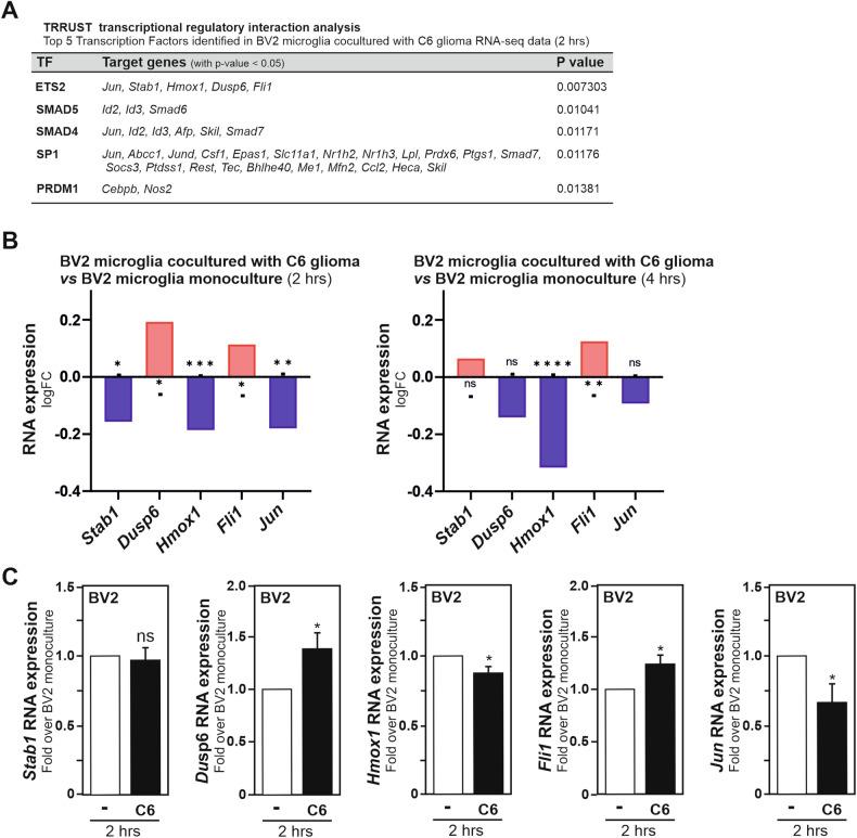 https://cdn.ncbi.nlm.nih.gov/pmc/blobs/03de/11255298/270d81622168/41419_2024_6903_Fig3_HTML.jpg