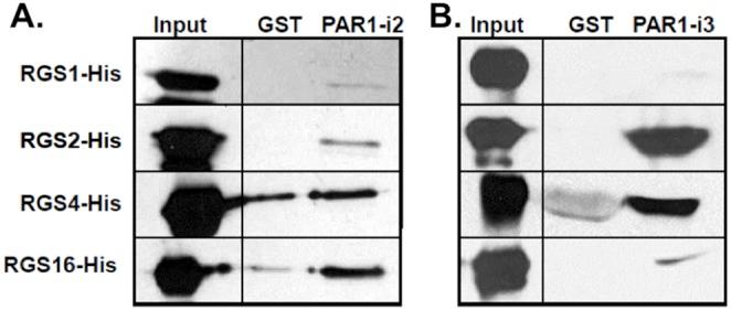 https://cdn.ncbi.nlm.nih.gov/pmc/blobs/03de/3990635/0a64943a86f5/pone.0095355.g004.jpg