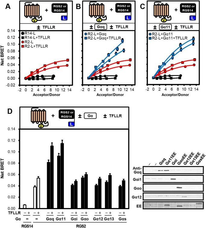 https://cdn.ncbi.nlm.nih.gov/pmc/blobs/03de/3990635/e0f7c933ebe7/pone.0095355.g001.jpg