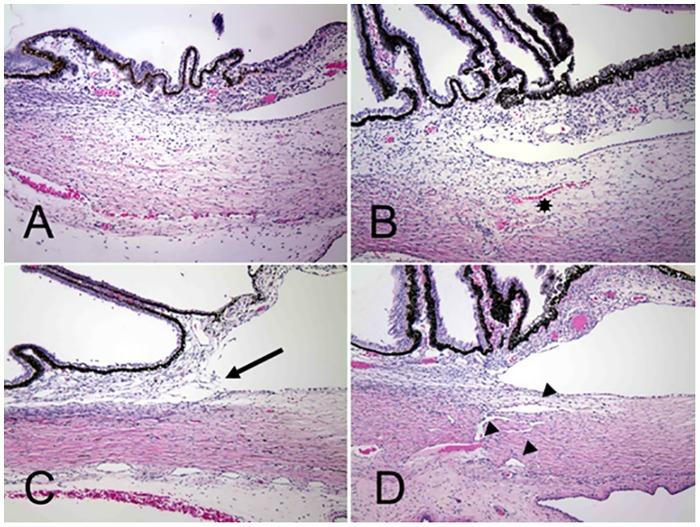 https://cdn.ncbi.nlm.nih.gov/pmc/blobs/03de/4858209/093c265afdc8/pone.0154412.g005.jpg