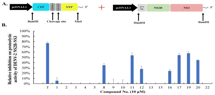https://cdn.ncbi.nlm.nih.gov/pmc/blobs/03e1/11680386/892b47fcd247/viruses-16-01926-g002a.jpg