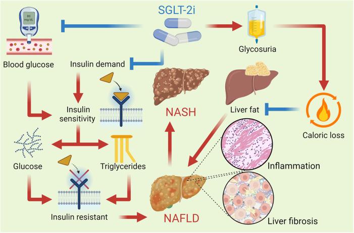 https://cdn.ncbi.nlm.nih.gov/pmc/blobs/03e2/11965600/f0ea95fc31a2/fcvm-12-1482918-g004.jpg