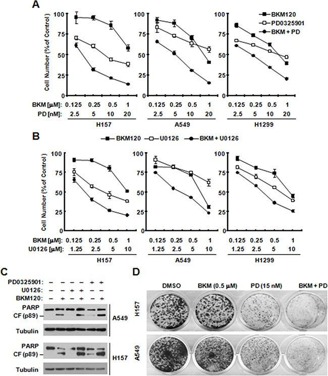 https://cdn.ncbi.nlm.nih.gov/pmc/blobs/03e2/5341874/19819874e568/oncotarget-07-67277-g005.jpg