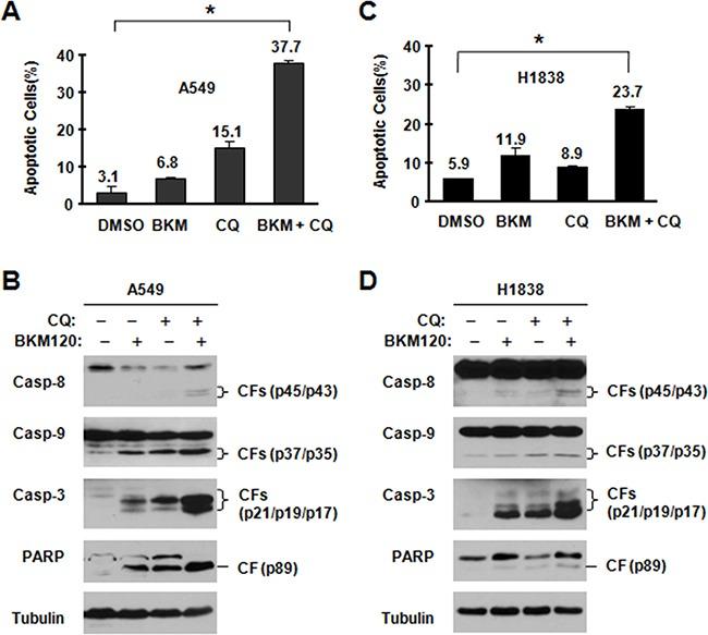 https://cdn.ncbi.nlm.nih.gov/pmc/blobs/03e2/5341874/a704ee3c4cf2/oncotarget-07-67277-g003.jpg
