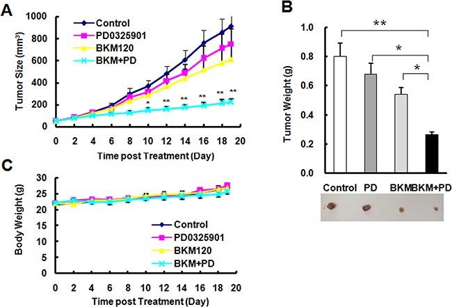 https://cdn.ncbi.nlm.nih.gov/pmc/blobs/03e2/5341874/d4bc7e61e69a/oncotarget-07-67277-g007.jpg