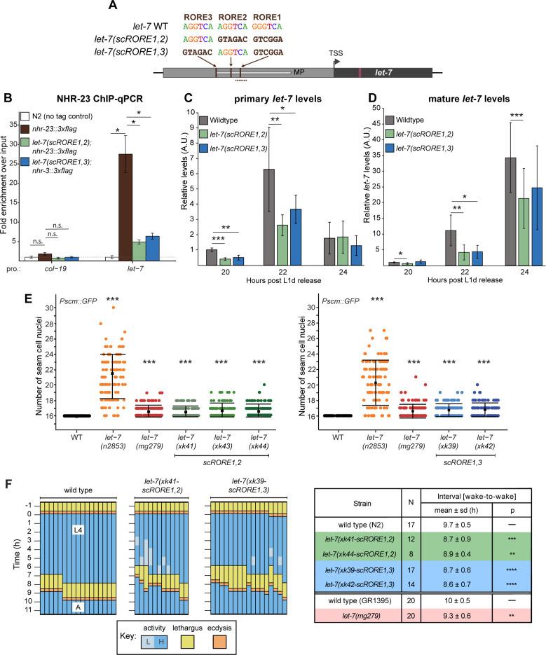 https://cdn.ncbi.nlm.nih.gov/pmc/blobs/03e2/9377799/5cfd2898299b/elife-80010-fig4.jpg