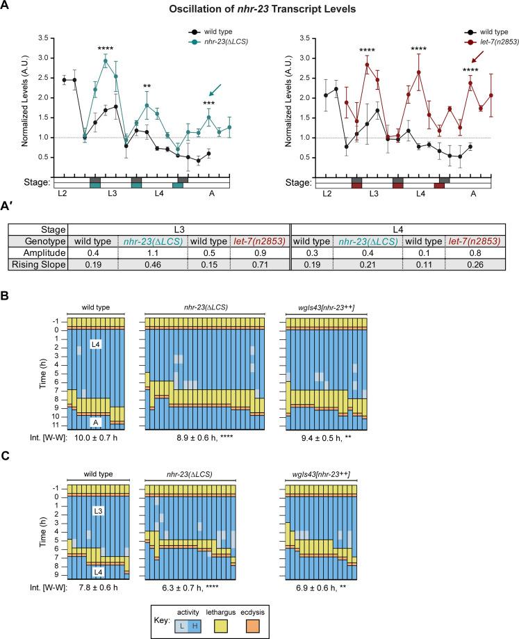 https://cdn.ncbi.nlm.nih.gov/pmc/blobs/03e2/9377799/811f1be777de/elife-80010-fig6.jpg