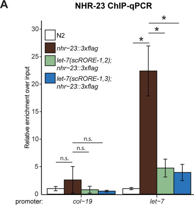 https://cdn.ncbi.nlm.nih.gov/pmc/blobs/03e2/9377799/b4bace01b044/elife-80010-fig4-figsupp1.jpg
