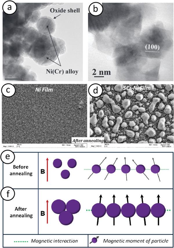 https://cdn.ncbi.nlm.nih.gov/pmc/blobs/03e6/11892505/78557dec34d7/ADVS-11-2403708-g019.jpg