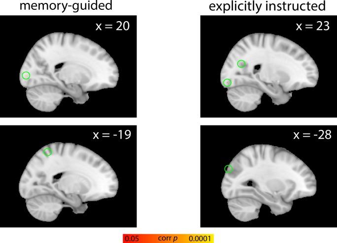 https://cdn.ncbi.nlm.nih.gov/pmc/blobs/03e7/7237206/328199721e04/elife-53191-fig5-figsupp2.jpg