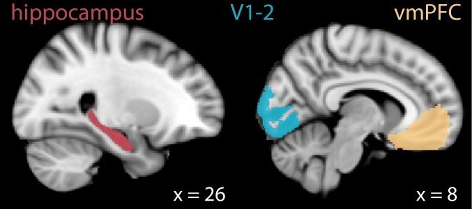 https://cdn.ncbi.nlm.nih.gov/pmc/blobs/03e7/7237206/a8b593e823a3/elife-53191-fig7.jpg