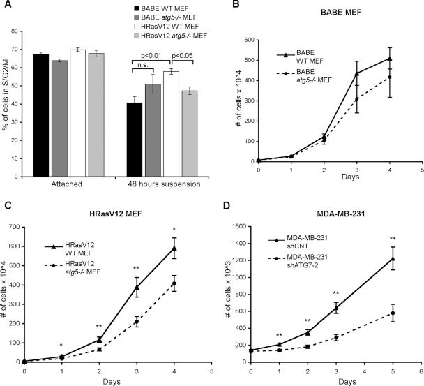 https://cdn.ncbi.nlm.nih.gov/pmc/blobs/03e8/3020913/a1fae07bb7ca/165fig6.jpg