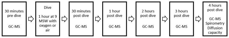 https://cdn.ncbi.nlm.nih.gov/pmc/blobs/03e8/6355711/e902bb8d0446/fphys-10-00010-g001.jpg