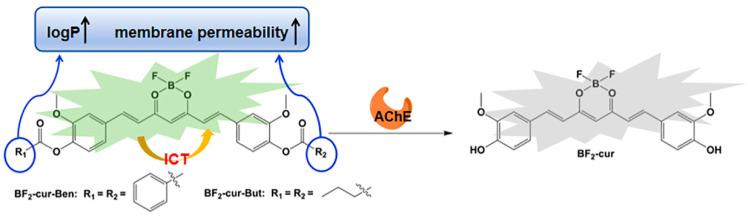 https://cdn.ncbi.nlm.nih.gov/pmc/blobs/03e9/11085145/1d997aa7034c/molecules-29-01961-g001.jpg