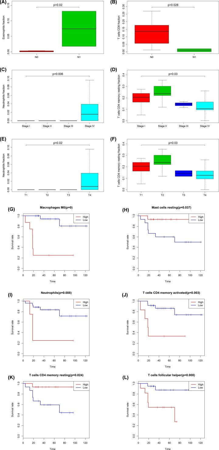 https://cdn.ncbi.nlm.nih.gov/pmc/blobs/03ea/7103591/2d71fe98f03d/bsr-40-bsr20200049-g7.jpg