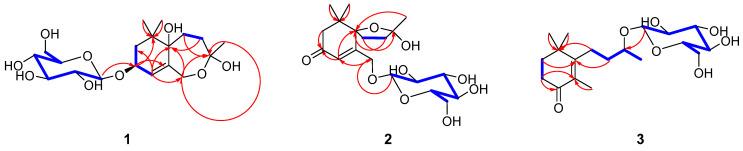 https://cdn.ncbi.nlm.nih.gov/pmc/blobs/03ed/11173609/78d9f2f0a73d/molecules-29-02462-g002.jpg