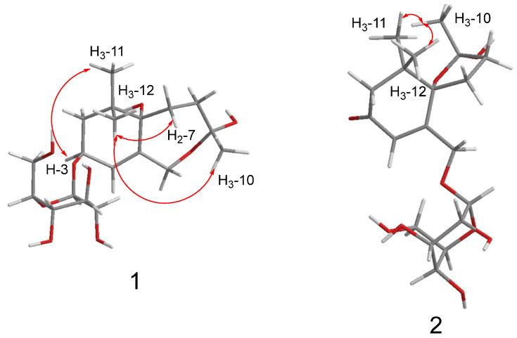 https://cdn.ncbi.nlm.nih.gov/pmc/blobs/03ed/11173609/de6db16f0b9a/molecules-29-02462-g003.jpg