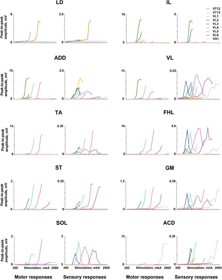 https://cdn.ncbi.nlm.nih.gov/pmc/blobs/03ed/7581734/9a1aa558adeb/fnsys-14-555593-g004.jpg