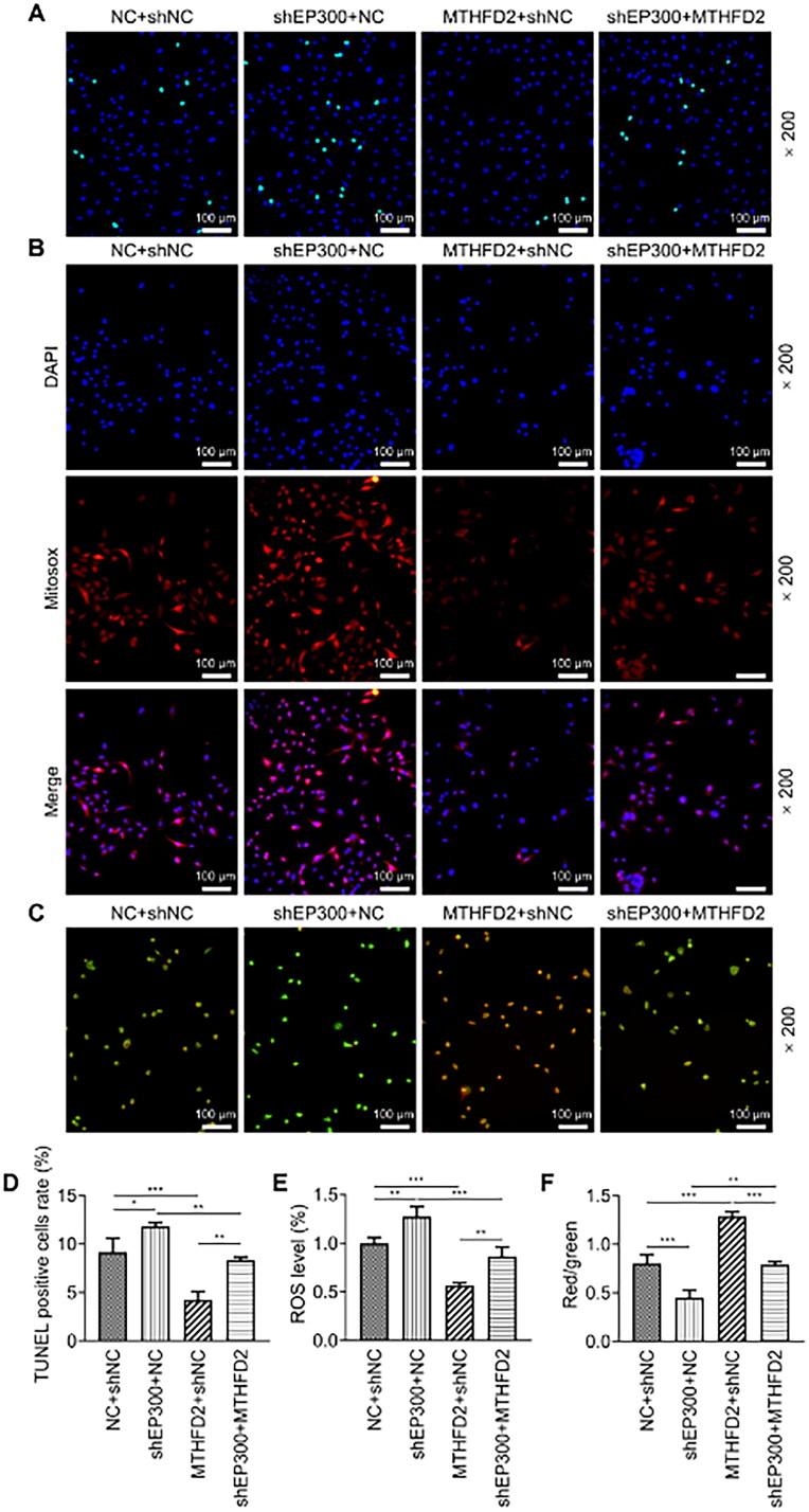 https://cdn.ncbi.nlm.nih.gov/pmc/blobs/03ee/11376309/03d759c37024/IRNF_A_2369342_F0004_C.jpg
