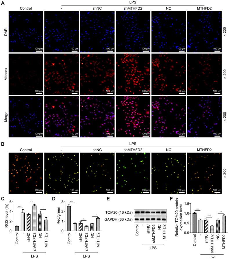 https://cdn.ncbi.nlm.nih.gov/pmc/blobs/03ee/11376309/42e679dbbd2b/IRNF_A_2369342_F0002_C.jpg