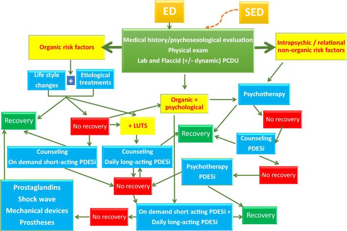 https://cdn.ncbi.nlm.nih.gov/pmc/blobs/03ee/9876440/9f9883fd27aa/40618_2023_2015_Fig1_HTML.jpg