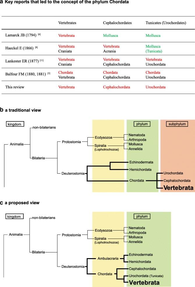 https://cdn.ncbi.nlm.nih.gov/pmc/blobs/03f0/6307173/729585636037/40851_2018_114_Fig1_HTML.jpg