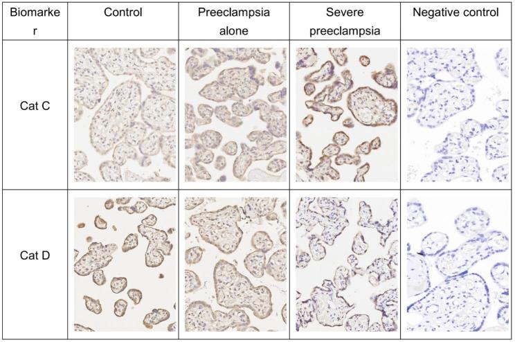 https://cdn.ncbi.nlm.nih.gov/pmc/blobs/03f3/10548605/d2b7c729801c/12958_2023_1138_Fig2_HTML.jpg
