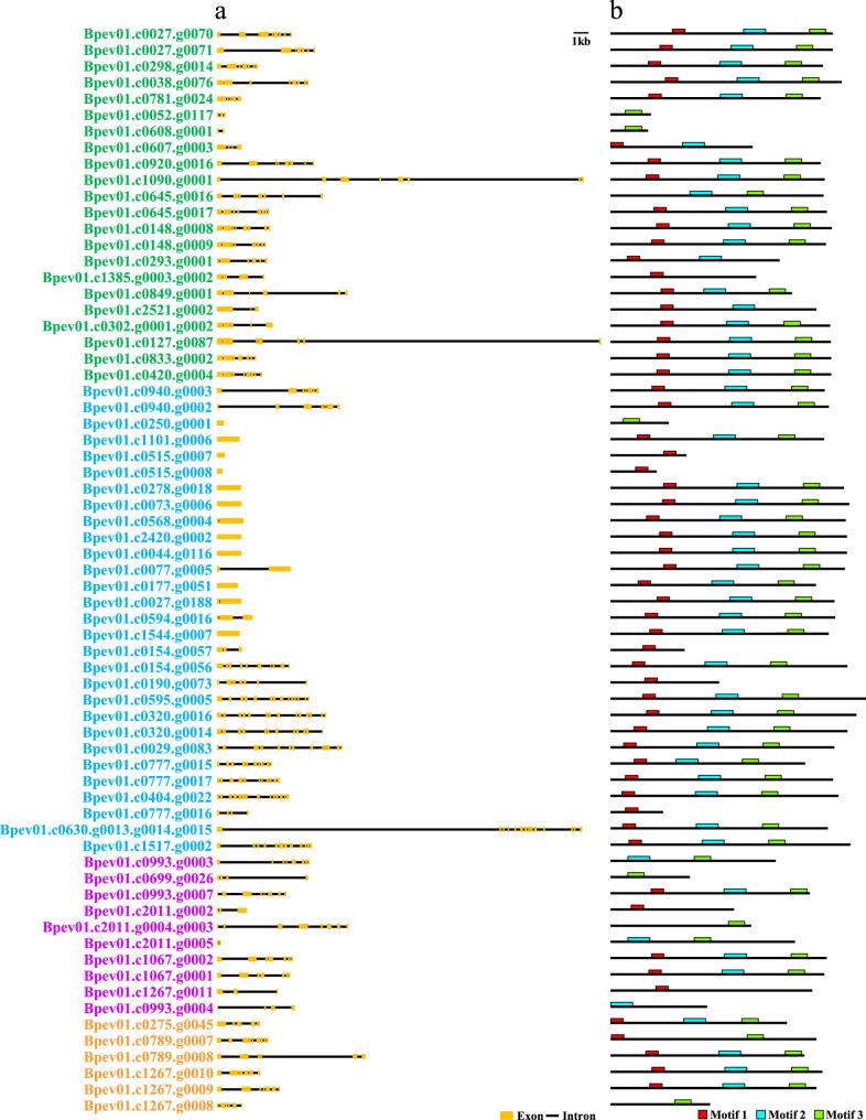https://cdn.ncbi.nlm.nih.gov/pmc/blobs/03f5/12278563/5d2fb74548ae/12864_2025_11795_Fig5_HTML.jpg