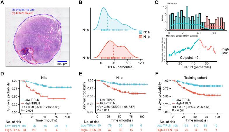 https://cdn.ncbi.nlm.nih.gov/pmc/blobs/03f6/11975947/99bcce397a19/fonc-15-1512960-g002.jpg