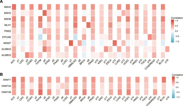 https://cdn.ncbi.nlm.nih.gov/pmc/blobs/03f6/9845395/4c250c79cb56/fgene-13-996180-g008.jpg