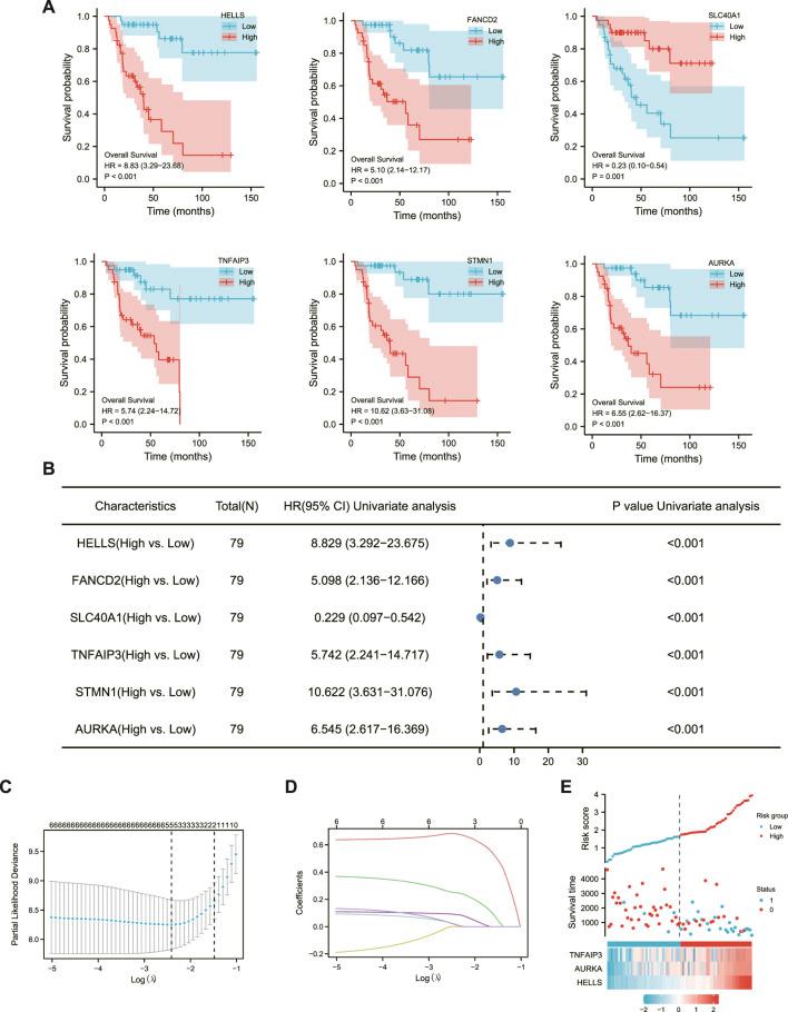 https://cdn.ncbi.nlm.nih.gov/pmc/blobs/03f6/9845395/62bc8698e894/fgene-13-996180-g002.jpg