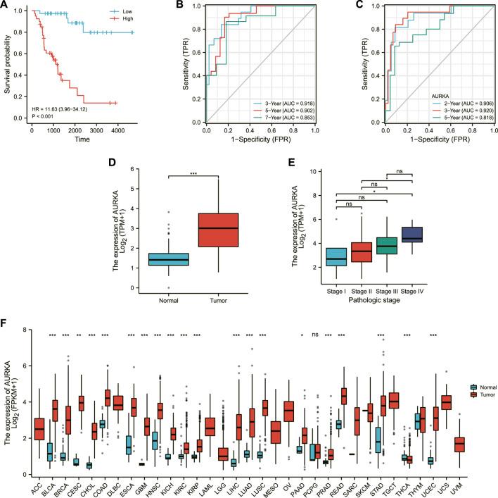 https://cdn.ncbi.nlm.nih.gov/pmc/blobs/03f6/9845395/886c2714856b/fgene-13-996180-g003.jpg