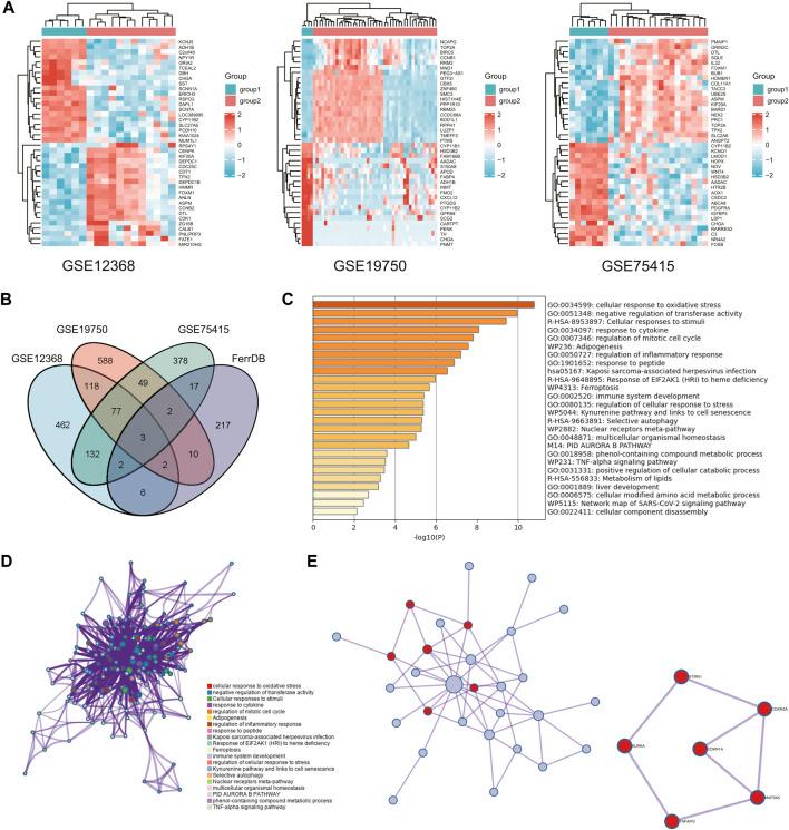 https://cdn.ncbi.nlm.nih.gov/pmc/blobs/03f6/9845395/f018e9805d4c/fgene-13-996180-g001.jpg