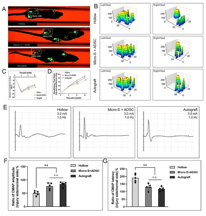 https://cdn.ncbi.nlm.nih.gov/pmc/blobs/03f7/11144330/3f1f981f63b6/13287_2024_3753_Fig6_HTML.jpg