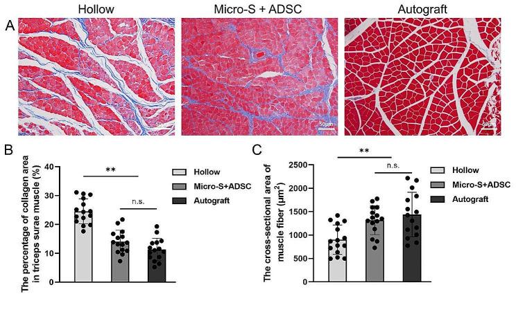 https://cdn.ncbi.nlm.nih.gov/pmc/blobs/03f7/11144330/5ab002c05c48/13287_2024_3753_Fig7_HTML.jpg
