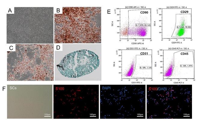 https://cdn.ncbi.nlm.nih.gov/pmc/blobs/03f7/11144330/b7b6373d80cd/13287_2024_3753_Fig2_HTML.jpg