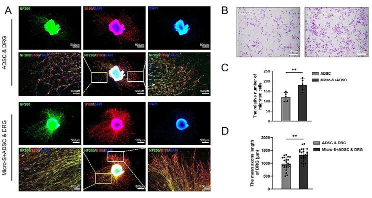 https://cdn.ncbi.nlm.nih.gov/pmc/blobs/03f7/11144330/bb8ecdb6385e/13287_2024_3753_Fig5_HTML.jpg