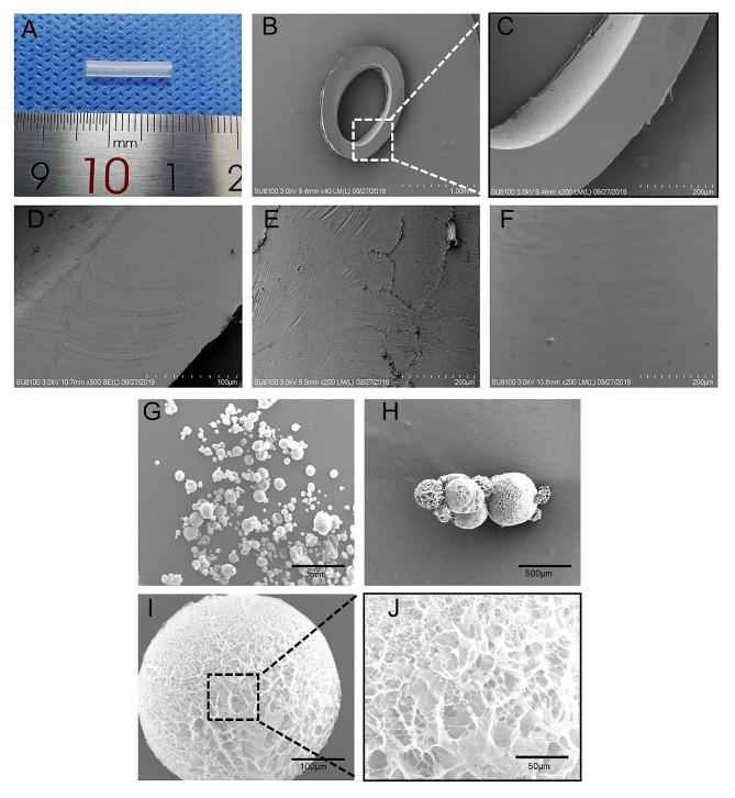 https://cdn.ncbi.nlm.nih.gov/pmc/blobs/03f7/11144330/fbf9cb924f6a/13287_2024_3753_Fig1_HTML.jpg