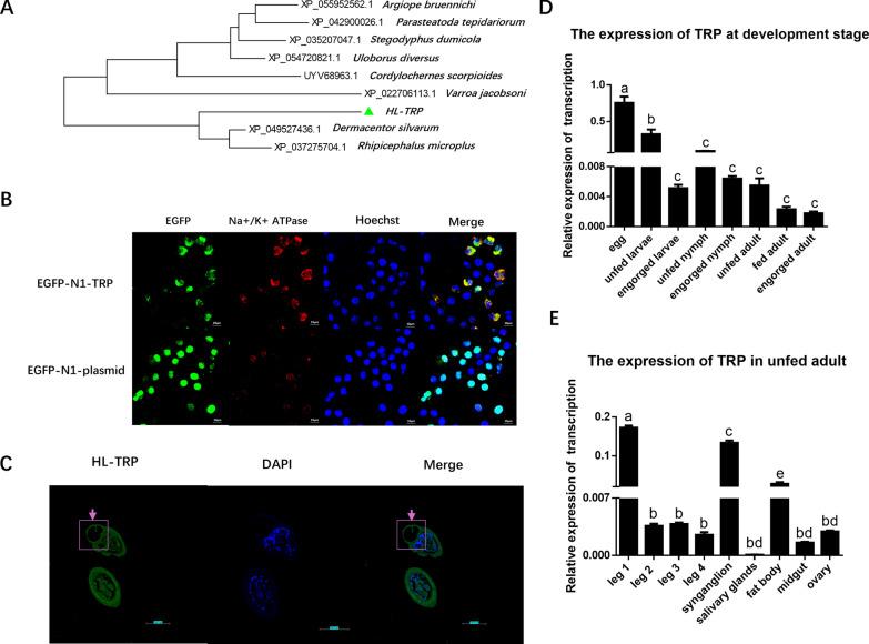https://cdn.ncbi.nlm.nih.gov/pmc/blobs/03f7/11995592/5f3f3e81cd2d/13071_2025_6776_Fig2_HTML.jpg