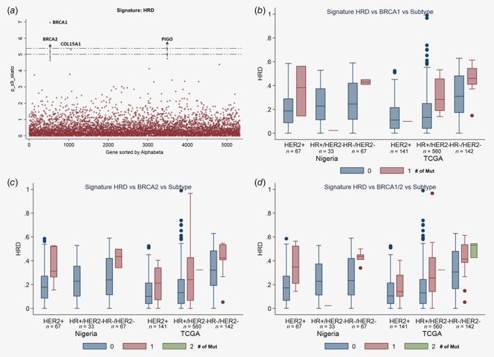 https://cdn.ncbi.nlm.nih.gov/pmc/blobs/03f8/6851589/28ac2b8de64f/IJC-145-3321-g003.jpg