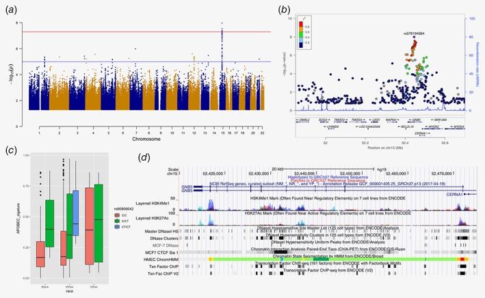 https://cdn.ncbi.nlm.nih.gov/pmc/blobs/03f8/6851589/d719d7523964/IJC-145-3321-g002.jpg