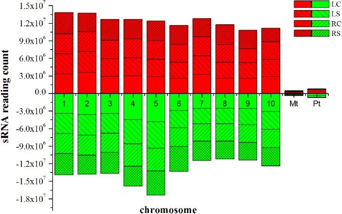 https://cdn.ncbi.nlm.nih.gov/pmc/blobs/03fa/5445174/ea2e73cde5c2/fpls-08-00864-g003.jpg