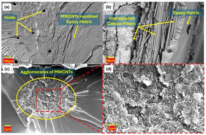 https://cdn.ncbi.nlm.nih.gov/pmc/blobs/03fb/12030669/778e8b0b14d5/polymers-17-01056-g008.jpg