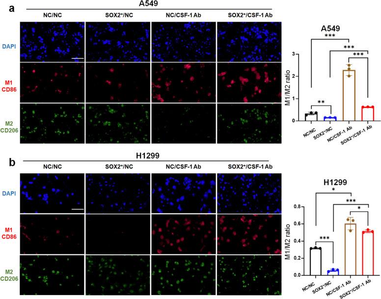 https://cdn.ncbi.nlm.nih.gov/pmc/blobs/03fd/11531455/b3ba88405c71/262_2024_3866_Fig4_HTML.jpg