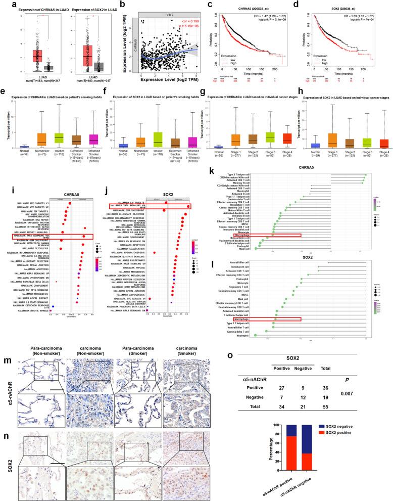 https://cdn.ncbi.nlm.nih.gov/pmc/blobs/03fd/11531455/e1183206d9cc/262_2024_3866_Fig1_HTML.jpg